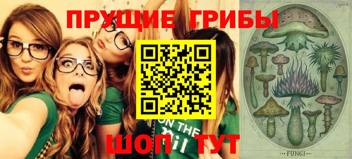Псилоцибиновые грибы прущие грибы Новозыбков